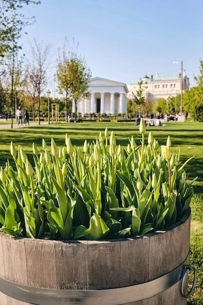 Значение парков Дублина для экосистемы города